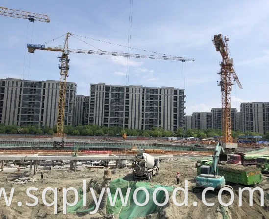 Shuttering/Marine Plywood, Construction Waterproof Film Faced Plywood for Building